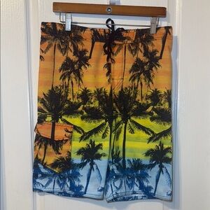 Hang Ten Boy's Multi Tropical Print Ombre Board Shorts  Size Boys Large EUC
